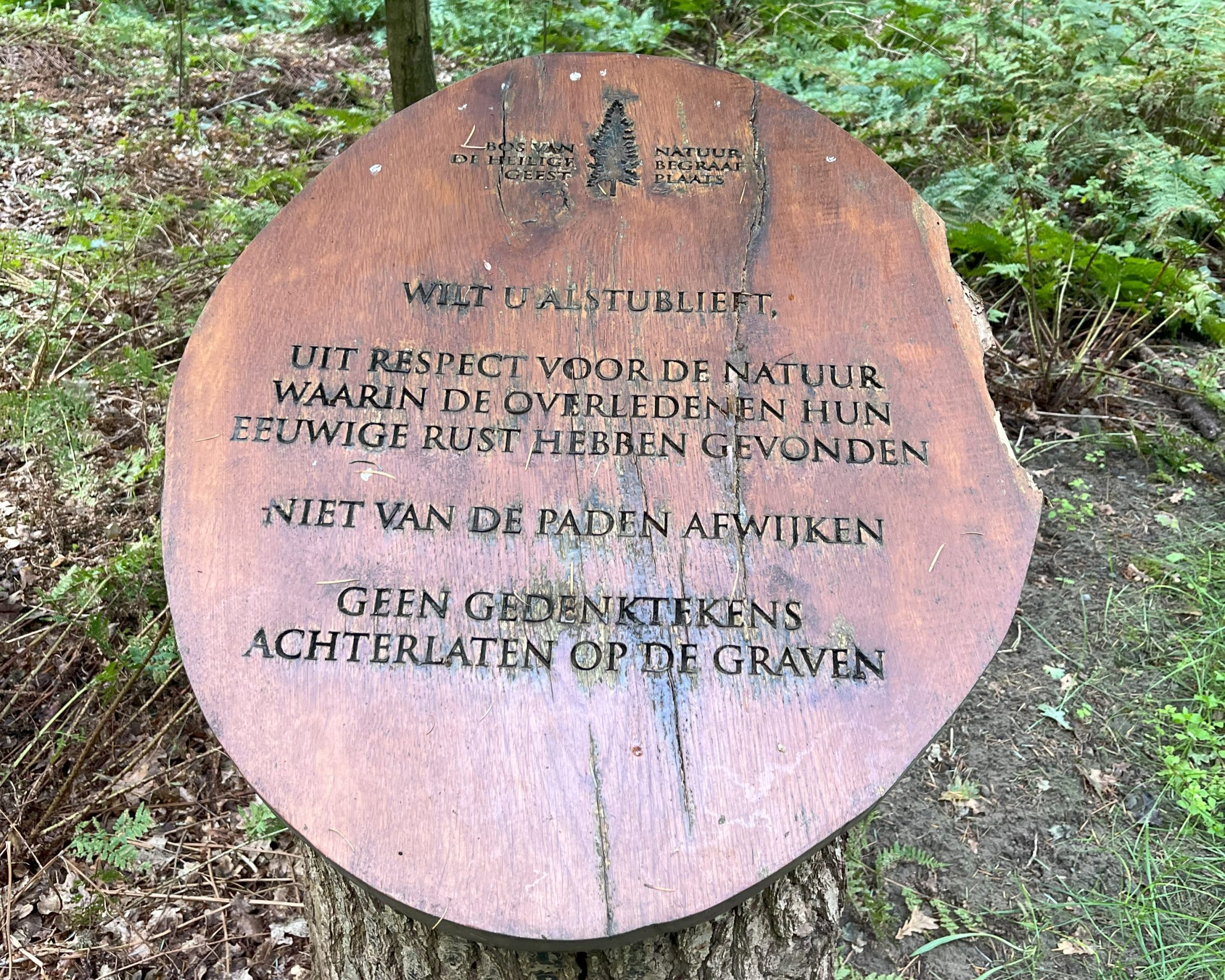 Actueel: Bezoek aan Natuurbegraafplaats inspireert